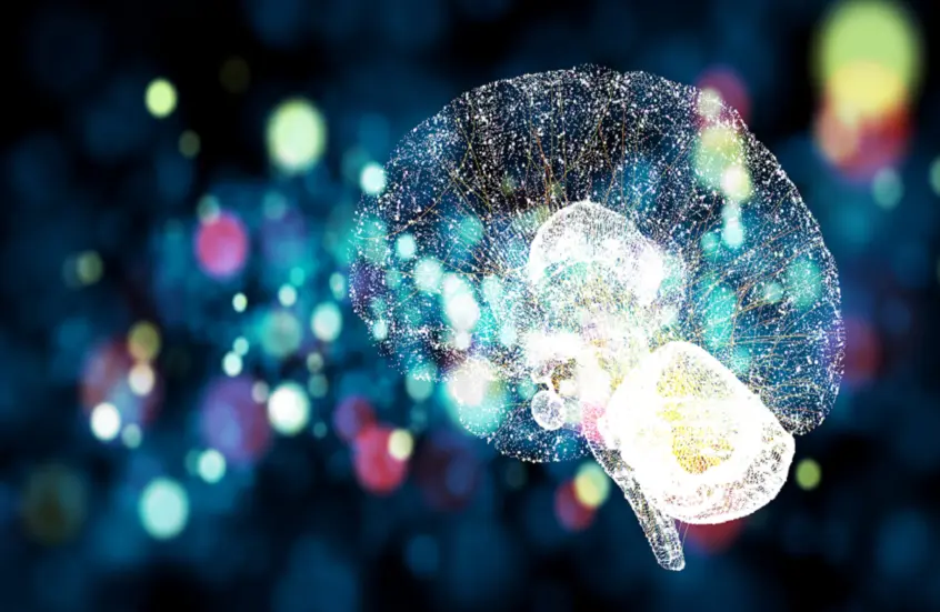 “مكافأة سكرية” تعيد ترتيب ذكريات الدماغ في تجربة مذهلة!